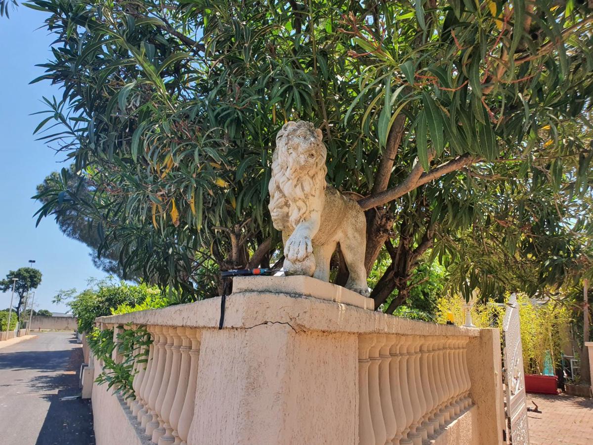 Villa Les Palmiers -Stretta Di I Mandarini Луччана Екстер'єр фото