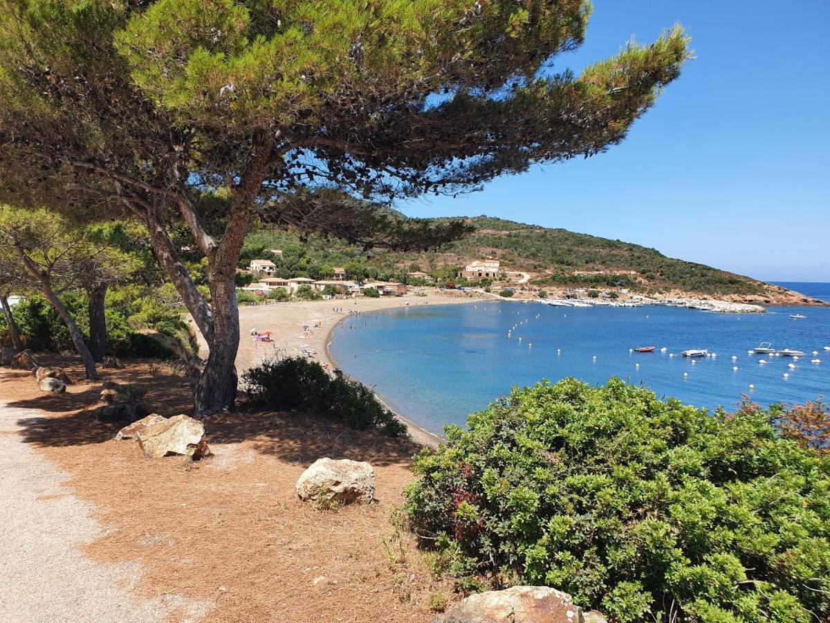 Villa Les Palmiers -Stretta Di I Mandarini Луччана Екстер'єр фото
